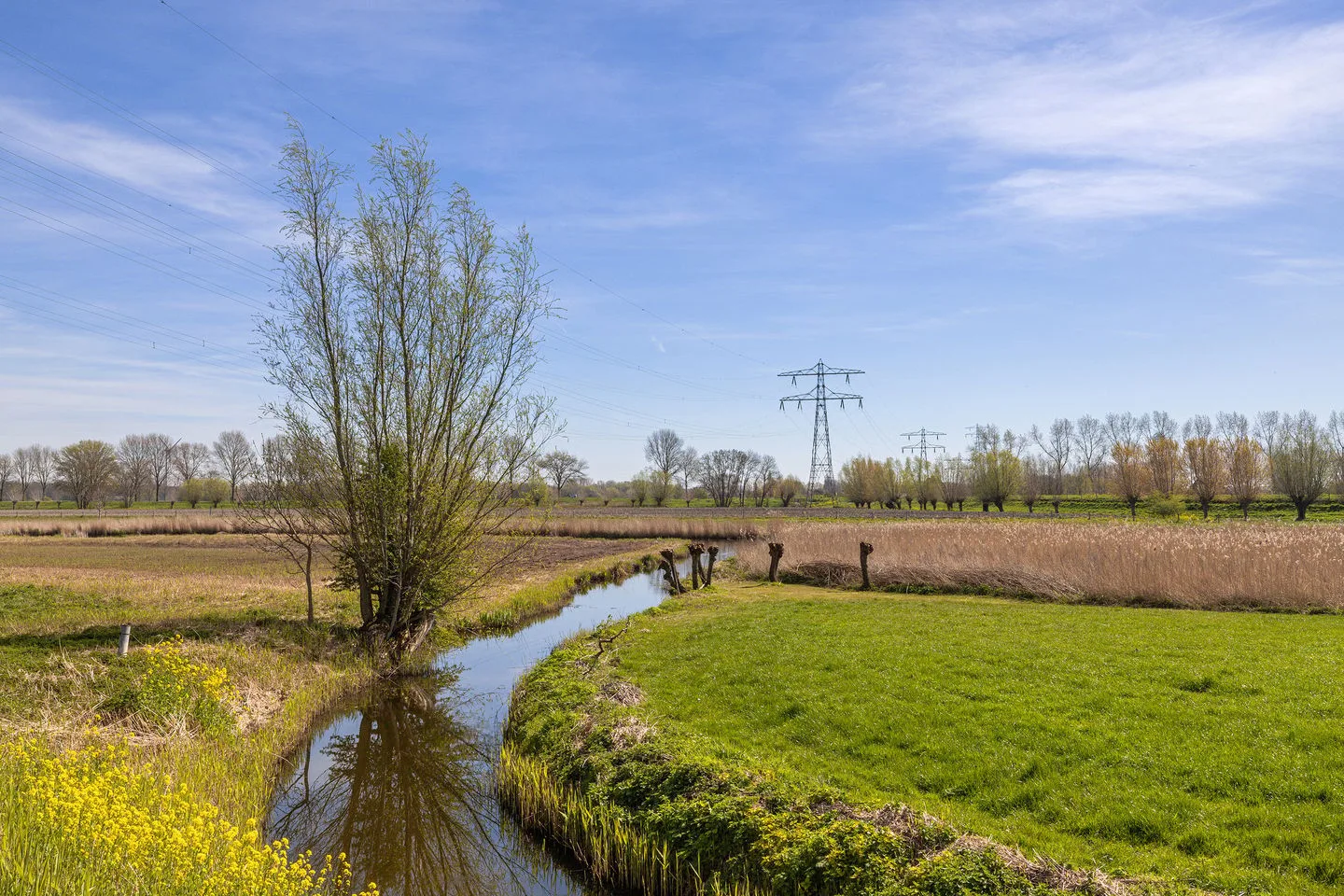 Wouddijk 12 Zwartewaal thumbnail 70
