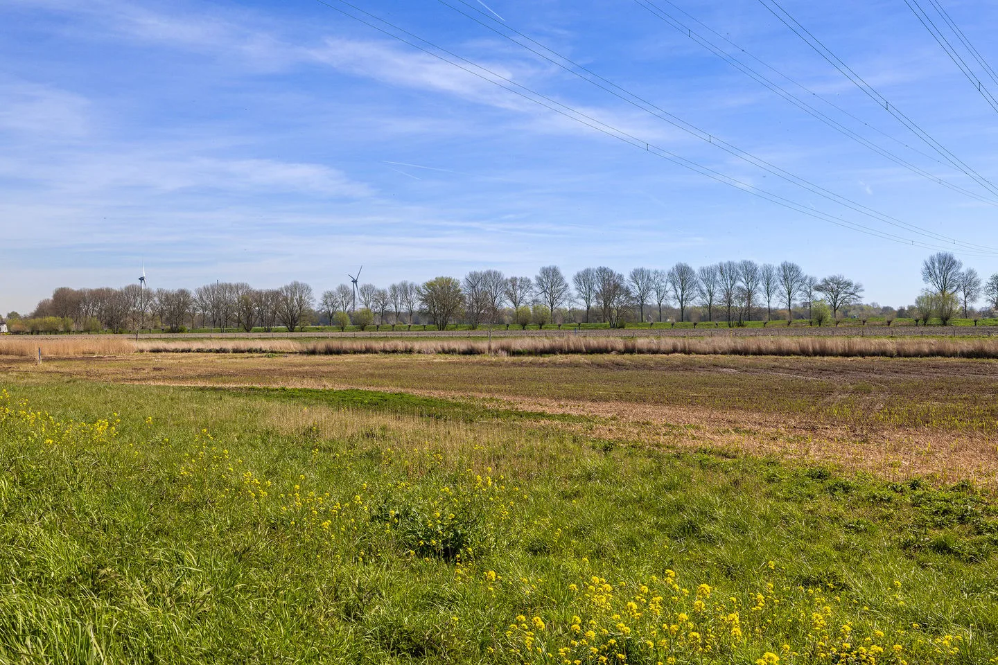 Wouddijk 12 Zwartewaal thumbnail 71