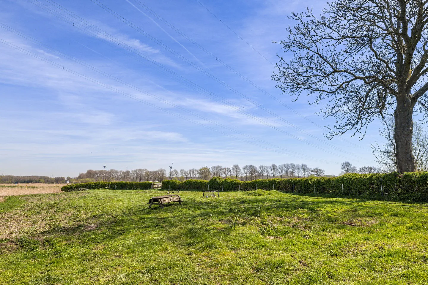 Wouddijk 12 Zwartewaal thumbnail 75