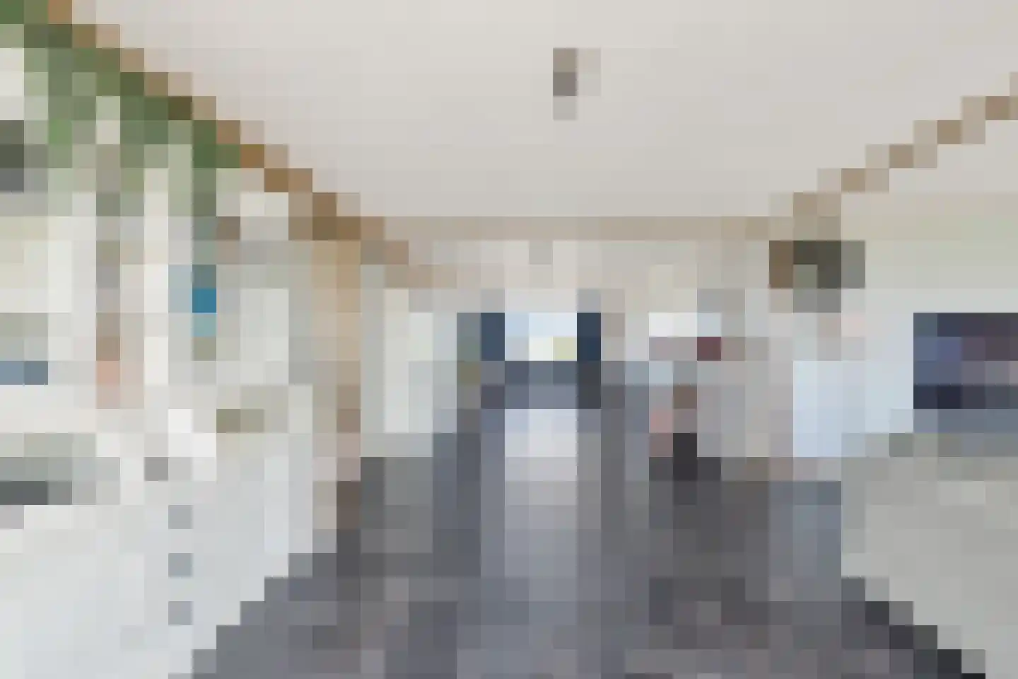 Woude 36 d de Woude thumbnail 20
