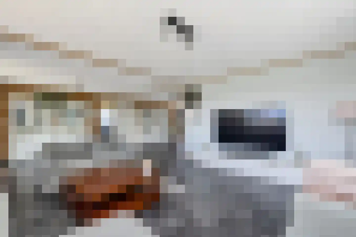 Woude 36 d de Woude thumbnail 23