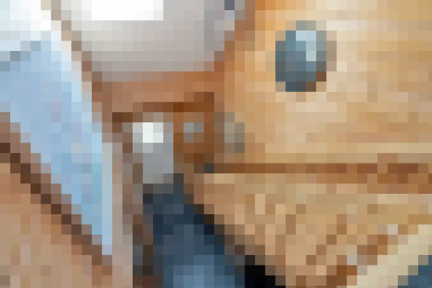 Woude 36 d de Woude thumbnail 42