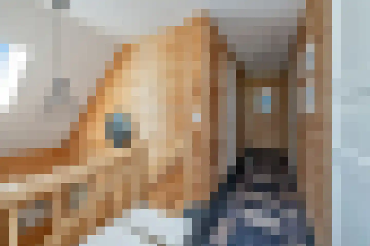 Woude 36 d de Woude thumbnail 43