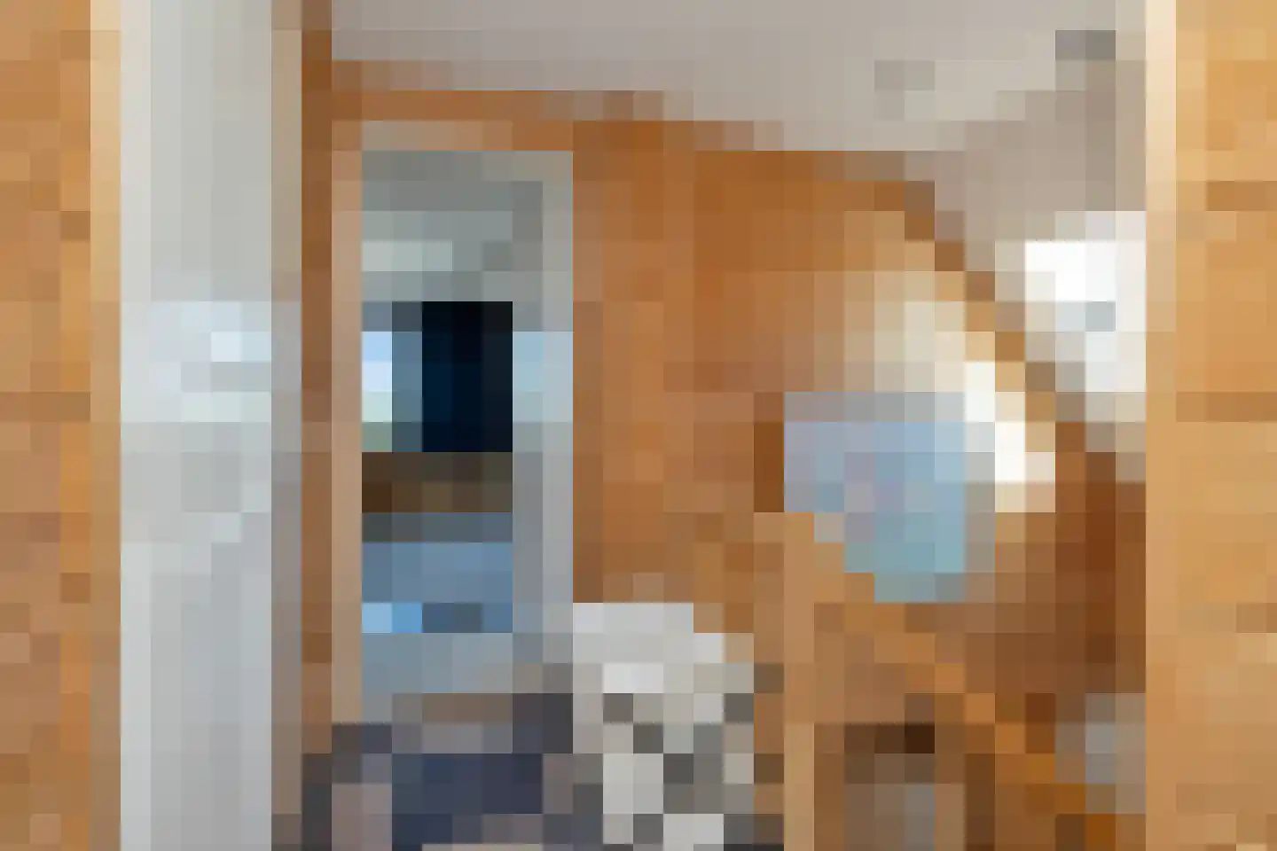 Woude 36 d de Woude thumbnail 44