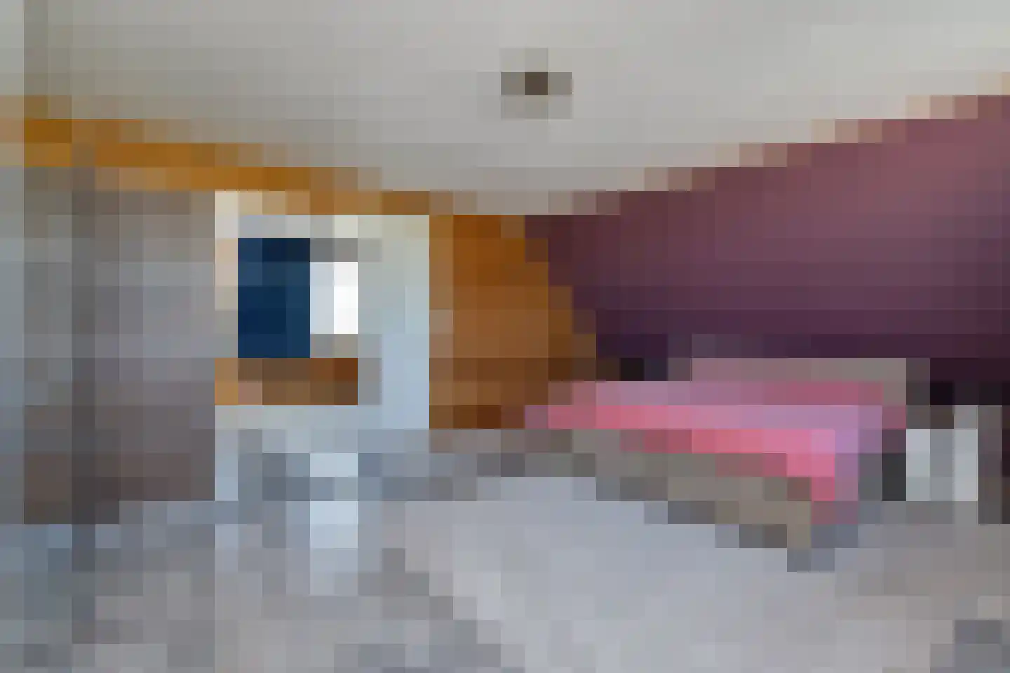Woude 36 d de Woude thumbnail 51