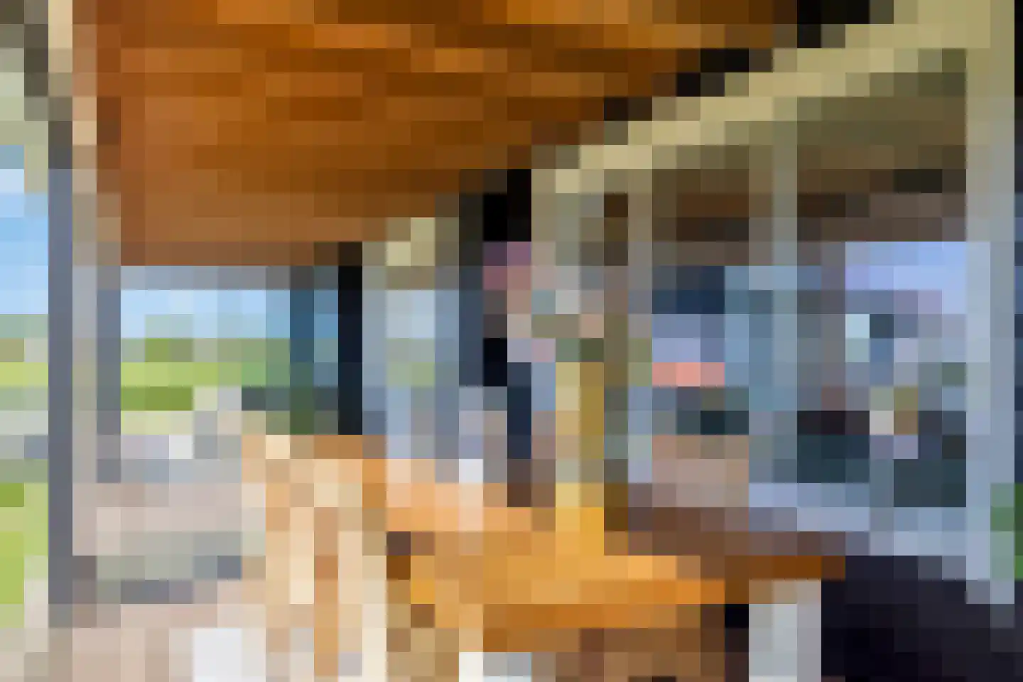 Woude 36 d de Woude thumbnail 64