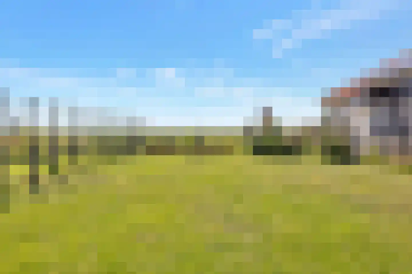 Woude 36 d de Woude thumbnail 66