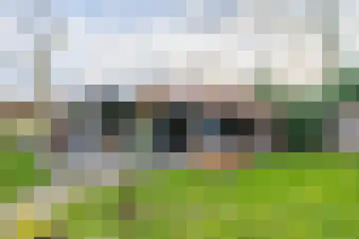 Woudenbergseweg 10 Maarsbergen thumbnail 36