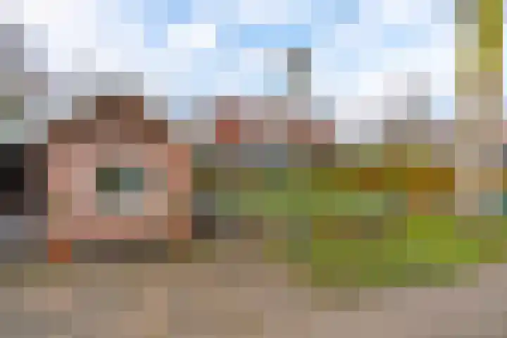 Woudenbergseweg 10 Maarsbergen thumbnail 5