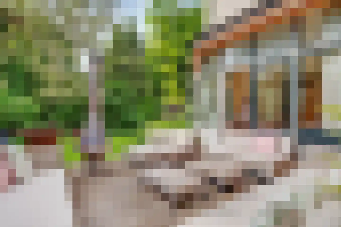 Woudenbergseweg 11 Zeist thumbnail 20