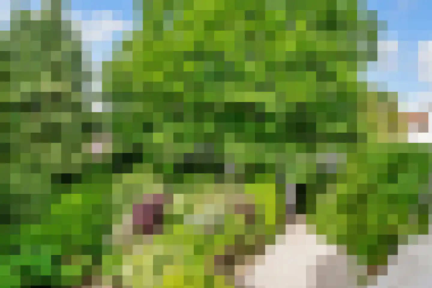 Woudenbergseweg 11 Zeist thumbnail 31