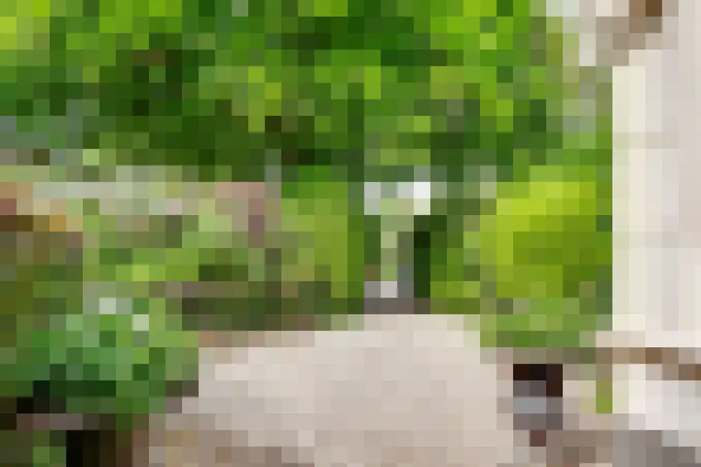 Woudenbergseweg 11 Zeist thumbnail 48