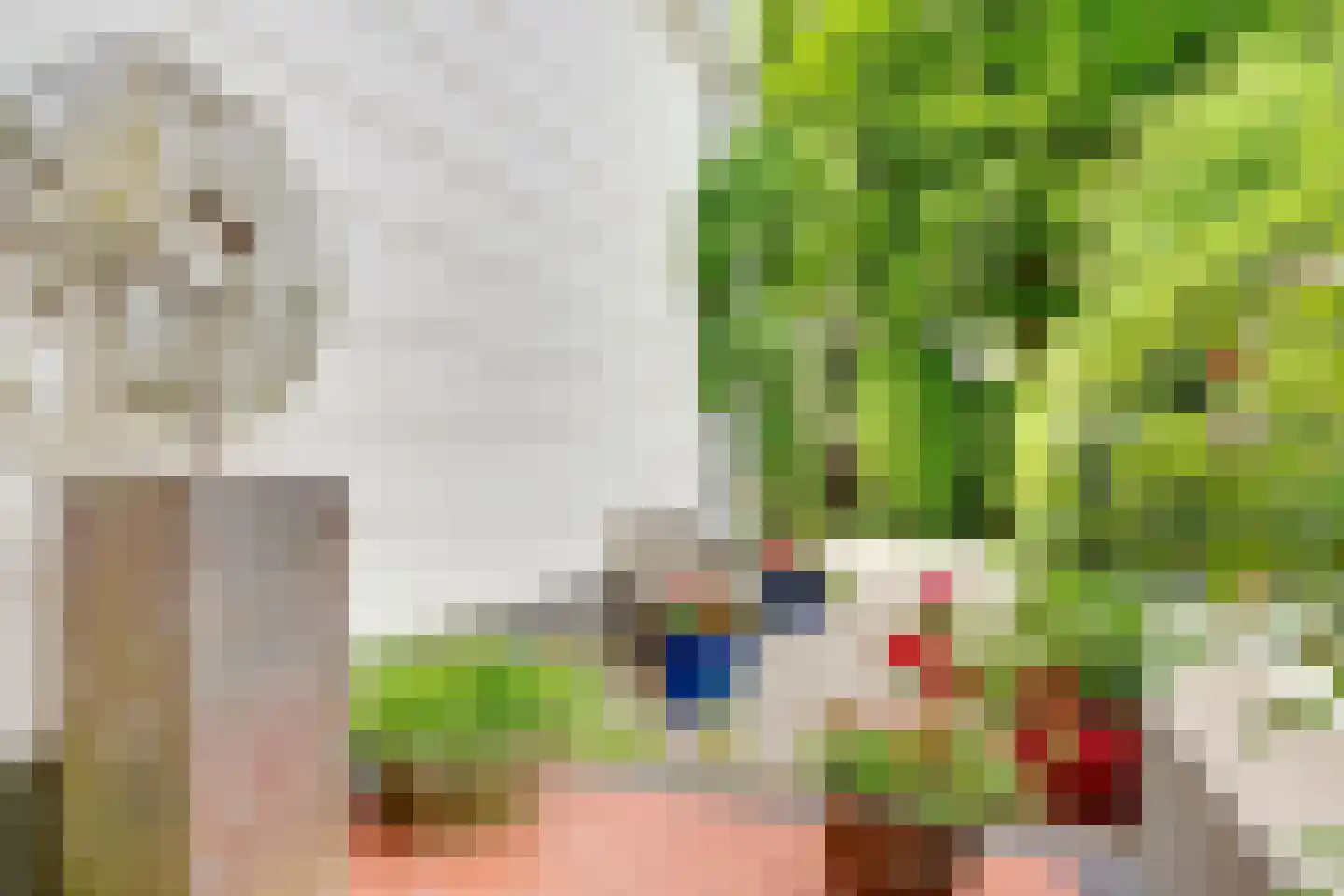Woudenbergseweg 11 Zeist thumbnail 51
