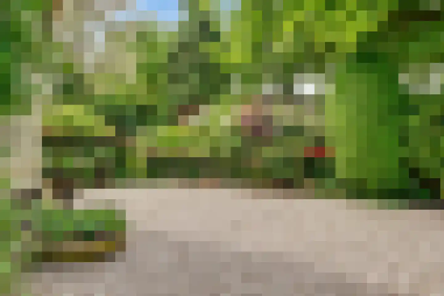 Woudenbergseweg 11 Zeist thumbnail 52