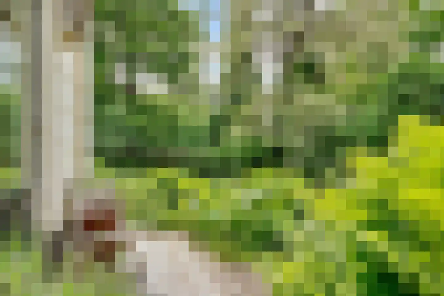 Woudenbergseweg 11 Zeist thumbnail 53