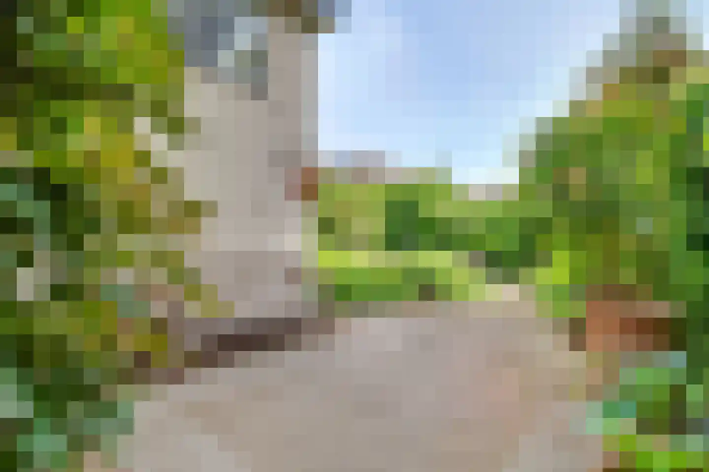 Woudenbergseweg 11 Zeist thumbnail 57