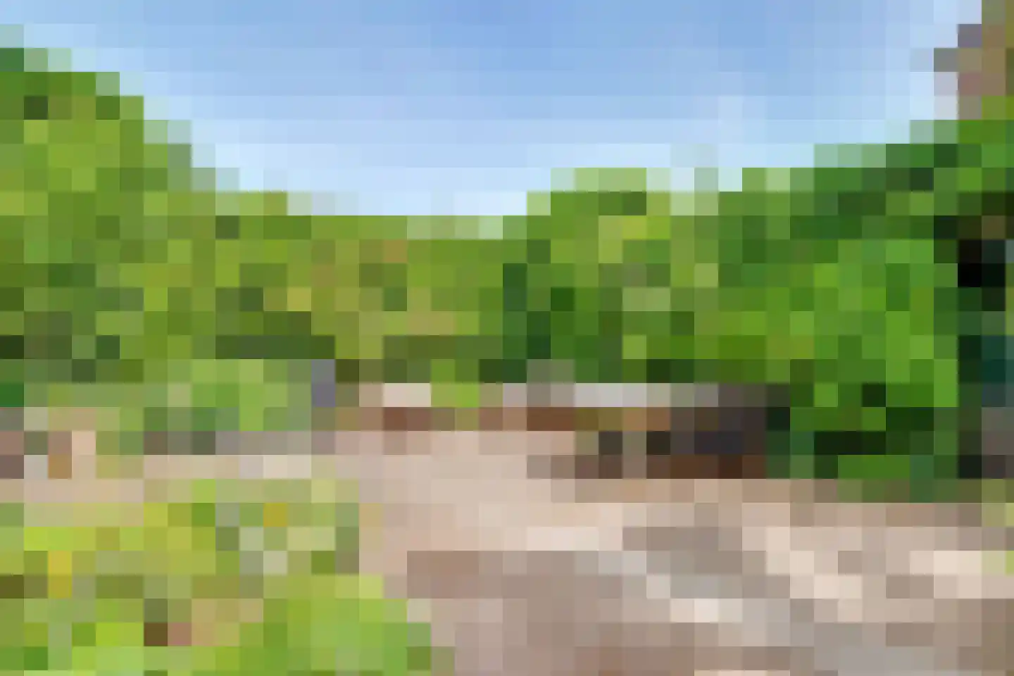 Woudenbergseweg 11 Zeist thumbnail 59