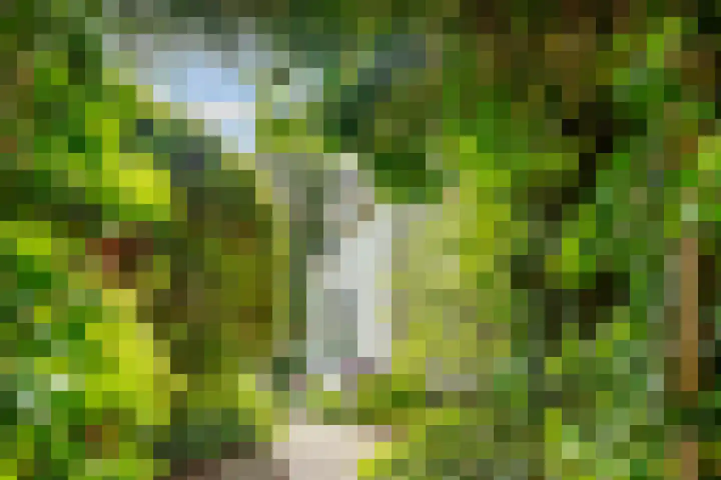 Woudenbergseweg 11 Zeist thumbnail 61