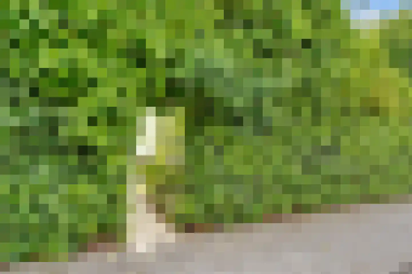 Woudenbergseweg 11 Zeist thumbnail 62