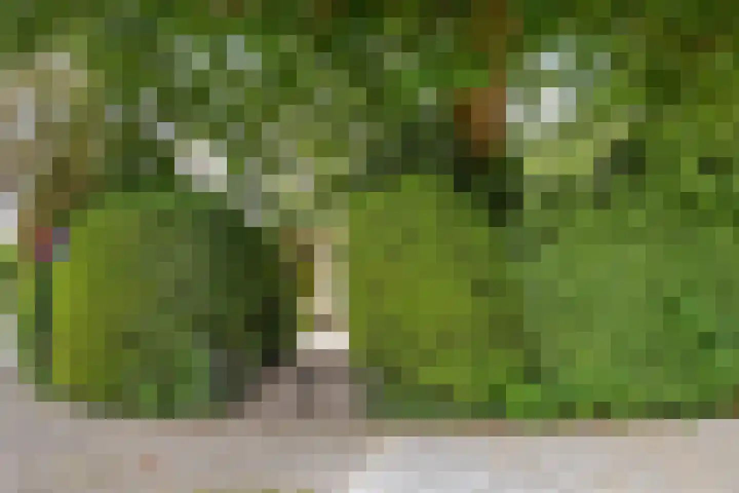Woudenbergseweg 11 Zeist thumbnail 63