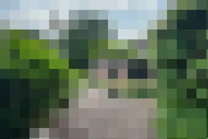 Woudenbergseweg 82 Maarsbergen thumbnail 35