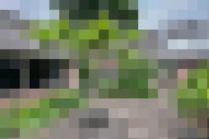 Woudenbergseweg 82 Maarsbergen thumbnail 36