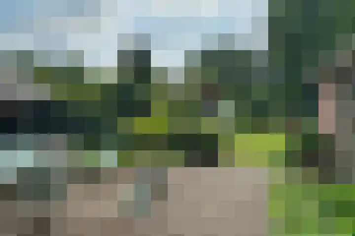 Woudenbergseweg 82 Maarsbergen thumbnail 38