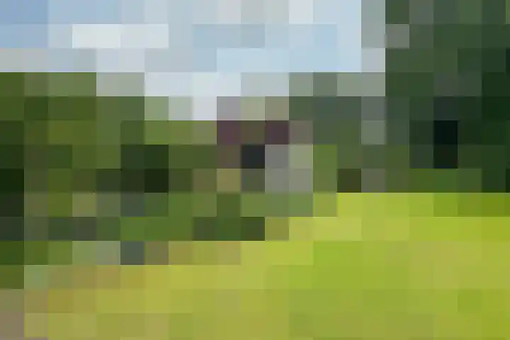 Woudenbergseweg 82 Maarsbergen thumbnail 39