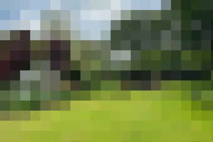 Woudenbergseweg 82 Maarsbergen thumbnail 4