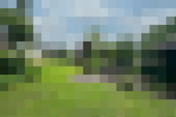 Woudenbergseweg 82 Maarsbergen thumbnail 42