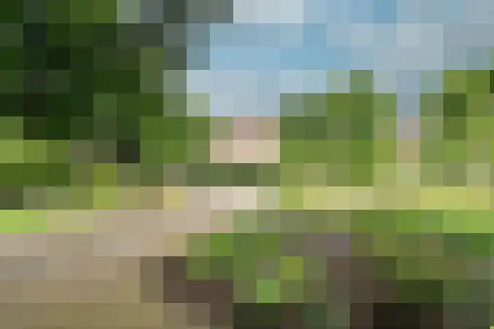 Woudenbergseweg 82 Maarsbergen thumbnail 44