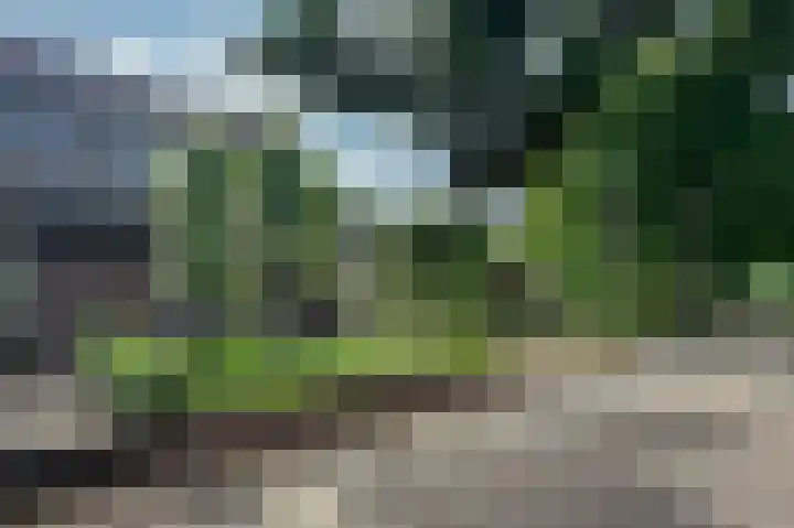 Woudenbergseweg 82 Maarsbergen thumbnail 6