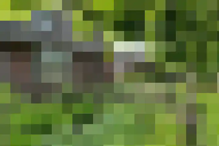 Woudenbergseweg 82 Maarsbergen thumbnail 7