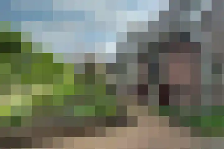 Woudenbergseweg 82 Maarsbergen thumbnail 8