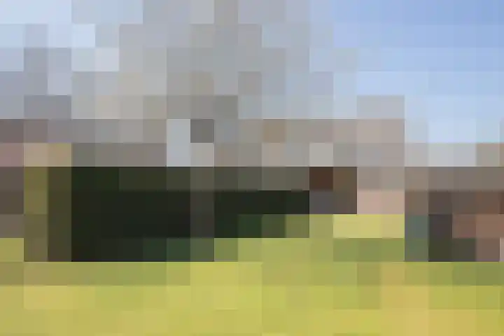 Woudenbergseweg 88 Maarsbergen thumbnail 25