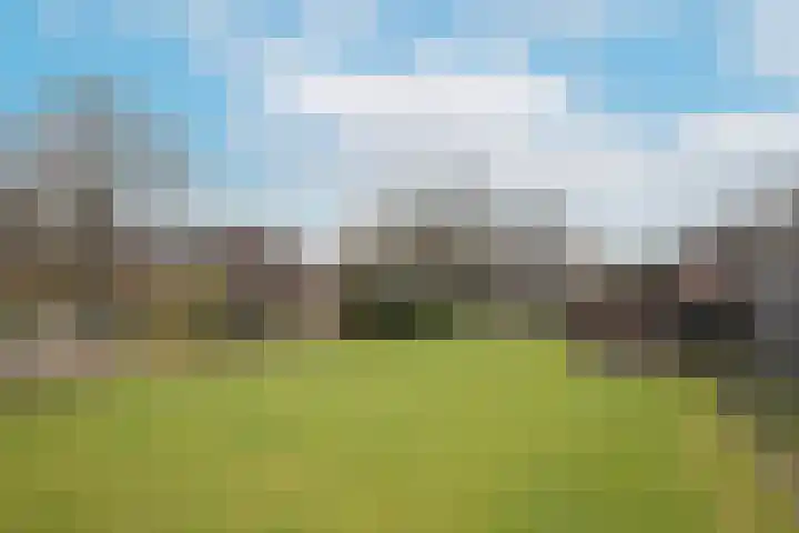 Woudenbergseweg 88 Maarsbergen thumbnail 26