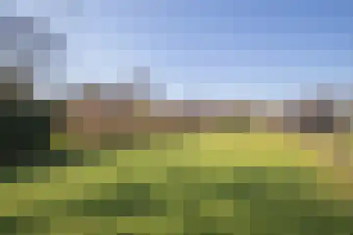 Woudenbergseweg 88 Maarsbergen thumbnail 30