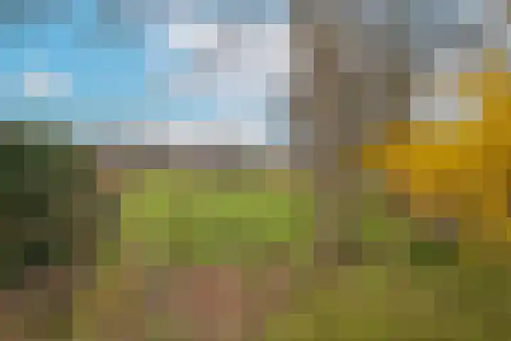 Woudenbergseweg 88 Maarsbergen thumbnail 31