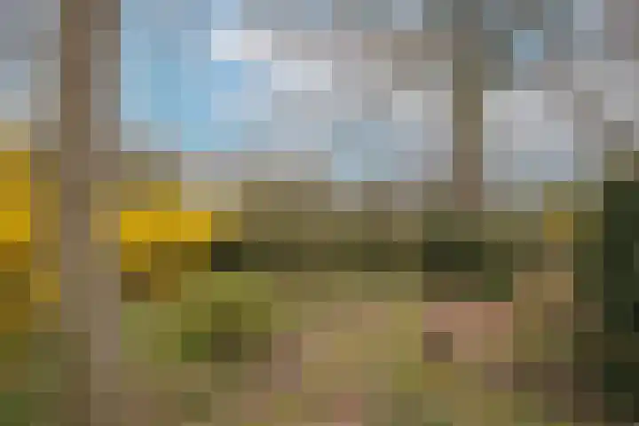 Woudenbergseweg 88 Maarsbergen thumbnail 32