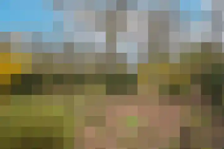 Woudenbergseweg 88 Maarsbergen thumbnail 33
