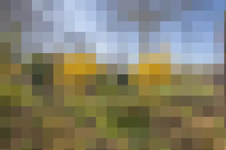 Woudenbergseweg 88 Maarsbergen thumbnail 35