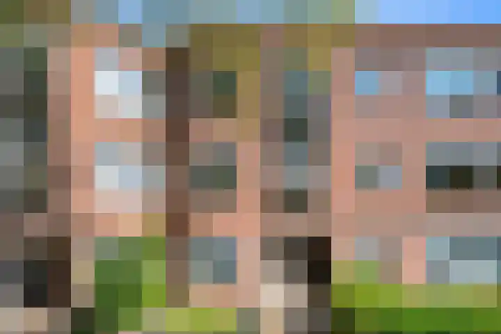 Woudenbergstraat 45 in Den Haag