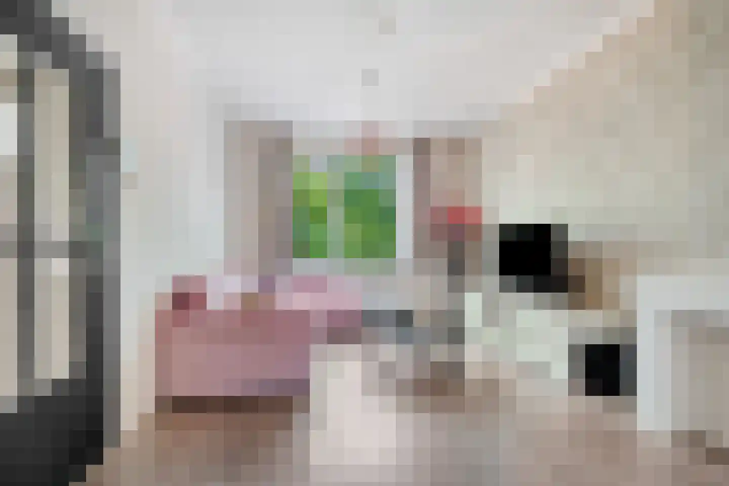 Woudenbergstraat 83 Den Haag thumbnail 9