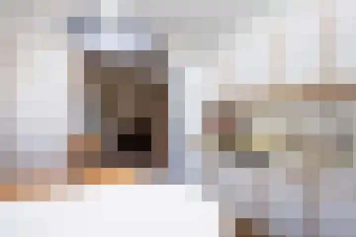 Woudestein 2 Gouda thumbnail 22