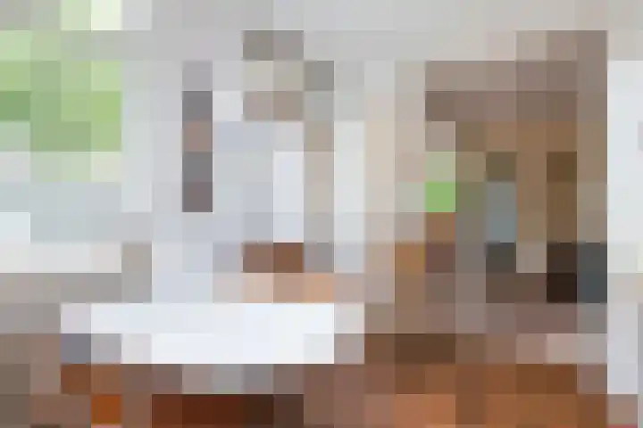Woudestein 2 Gouda thumbnail 23