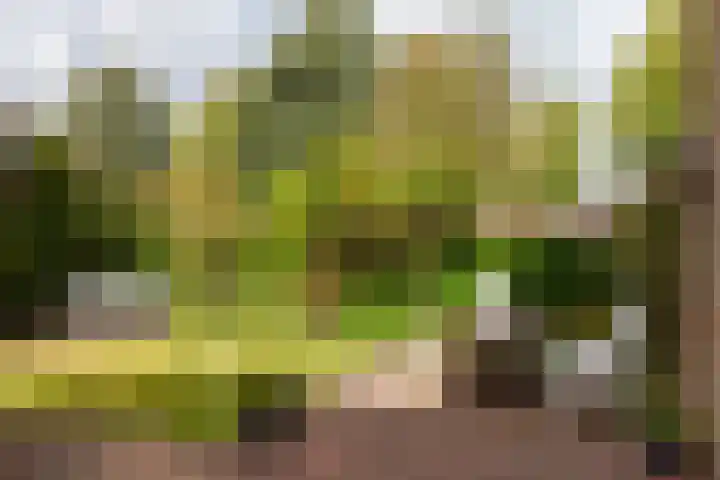 Woudestein 2 Gouda thumbnail 24