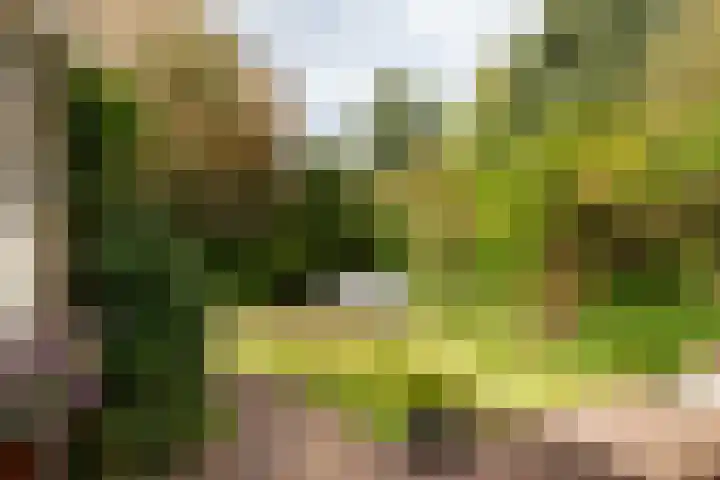 Woudestein 2 Gouda thumbnail 25