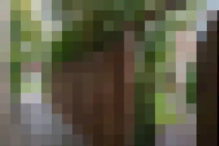 Woudestein 2 Gouda thumbnail 27