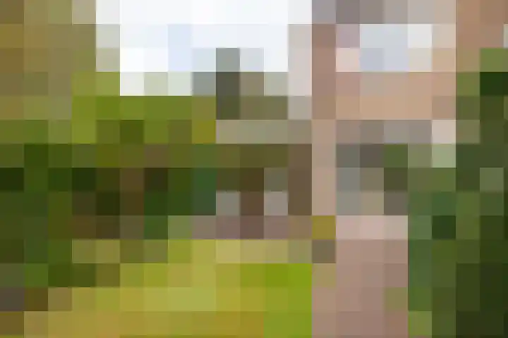 Woudestein 2 Gouda thumbnail 29