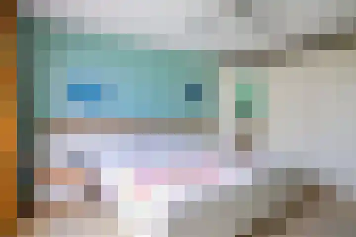 Woudestein 2 Gouda thumbnail 35